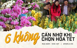 6 KHÔNG khi mua hoa Tết, bà nội trợ Việt phải chú ý để chọn được hoa vừa rẻ đẹp lại lâu tàn