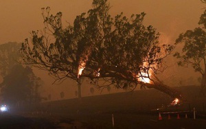 Úc bắt giữ 24 người đổ thêm dầu vào lửa giữa thảm họa cháy rừng