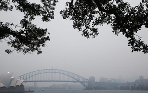 Ngập bụi mịn vì cháy rừng, Sydney đang trở thành 'phòng thí nghiệm' của cả thế giới