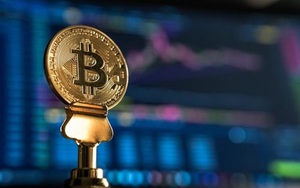 Bitcoin giảm sốt, thị trường chìm trong sắc đỏ