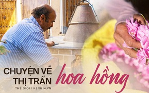 Câu chuyện về những bông hồng thơm nhất thế giới của Iran: Cả một thị trấn toàn hoa hồng, người dân làm một tháng là đủ tiền tiêu cả năm không hết
