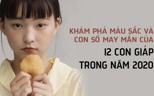 Đây là màu sắc và con số may mắn của 12 con giáp trong năm 2020, tận dụng hết mức để sự nghiệp thăng hoa, cuộc sống viên mãn