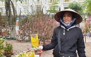 Bỏ cửa hàng tạp hóa ế ẩm, tiểu thương tranh thủ lên Thủ đô bán hoa Tết
