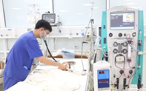 Ăn hạt của cây củ đậu, hai cháu bé nguy kịch