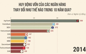 Ngân hàng nào được người dân gửi tiền nhiều nhất trong 10 năm qua?