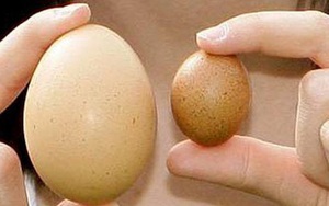 Giải toả nỗi lo tinh hoàn lệch