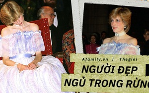 Bức ảnh ngủ gật nổi tiếng của Công nương Diana: Đằng sau hình ảnh “người đẹp ngủ trong rừng” là nỗi lòng không phải ai cũng hiểu