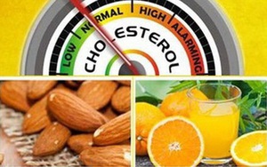 Giúp bạn kiểm soát tốt Cholesterol