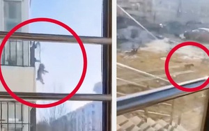 Dắt chó cưng đi dạo và "xả lũ" phong cách mùa dịch: Cột dây, thả diều từ lầu cao rồi kéo lên khi xong việc