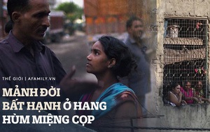 "Cuộc sống của tôi còn tồi tệ hơn những con chó" - phận đời cơ cực của những người phụ nữ sống lay lắt trên con phố mại dâm khét tiếng Ấn Độ