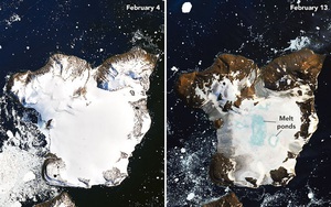 NASA ghi lại hình ảnh chỏm băng ở Nam Cực tan chảy trong đợt nóng kỷ lục vừa qua