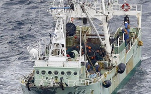 Danh tính 5 thủy thủ Việt Nam mất tích trong vụ chìm tàu ở Nhật Bản