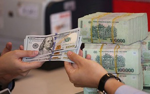 VND sẽ thế nào trong một năm đầy biến động như hiện nay?