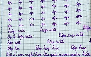 Cô giáo yêu cầu viết văn tả bạn học, bé gái lớp 1 "phán" một câu khiến ai cũng cười xỉu vì "nghe vô lý nhưng đầy thuyết phục"