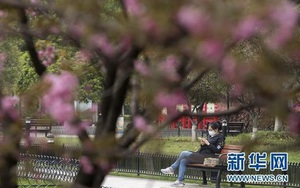 Vũ Hán: 'Mùa xuân trở lại' sau 65 ngày cửa đóng then cài vì COVID-19