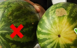 "Làm thế nào để chia 4 quả dưa hấu cho 5 người?": Câu trả lời chứng tỏ nhân tài sở hữu EQ cao, là người mà mọi công ty cần có
