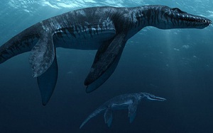 Top 10 sinh vật siêu khổng lồ thời tiền sử dễ bị nhầm thành khủng long