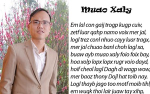 Cha đẻ bộ ‘Chữ Việt Nam song song 4.0’: Dân mạng ném đá, giễu cợt, trêu chọc rất nhiều