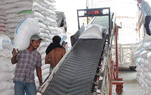 Doanh nghiệp cầu cứu Thủ tướng vì 'bất cập' mở tờ khai xuất khẩu gạo giữa đêm ​