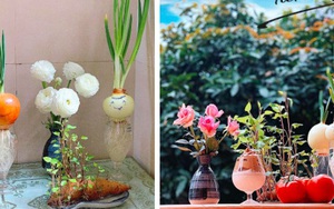 Hậu quả của việc tích trữ quá nhiều khoai và củ hành đến nỗi mọc thành cây nhưng thay vì vứt bỏ, cô gái làm thành tác phẩm nghệ thuật bày khắp nơi trong nhà