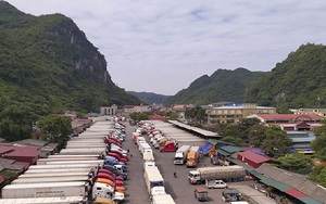 Đề nghị Trung Quốc mở luồng ưu tiên giải phóng nông sản ùn ứ