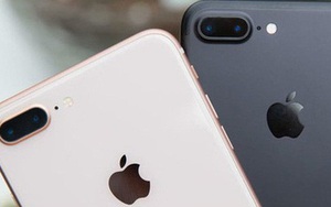 iPhone 7 và iPhone 8 vẫn tiếp tục rớt giá, về ngang với điện thoại bình dân