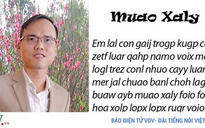 Chữ Việt Nam song song 4.0: Cải tiến chữ quốc ngữ và thực tiễn