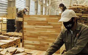 Nhiều doanh nghiệp gỗ phải rao bán nhà máy vì Covid-19