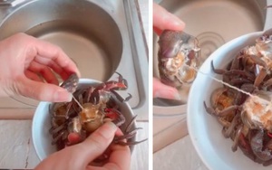 Ăn cua đã nhiều năm nhưng không phải ai cũng biết có một hình ảnh mà dân nghiện cua nhìn xong cũng "khiếp đảm" vì quá ám ảnh