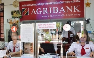 Ủy ban Kinh tế nói gì về việc tăng vốn cho Agribank?