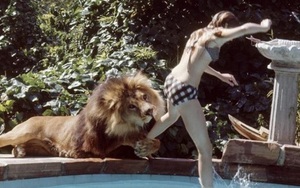 Bức ảnh con sư tử tấn công cô gái trẻ ngỡ là khoảnh khắc kinh hoàng cuối cùng của nạn nhân nhưng sự thật trái ngược hoàn toàn