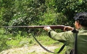 Đi săn trong rừng, bố bắn nhầm khiến con tử vong tại Điện Biên