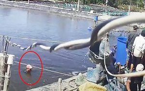 Vụ dàn cảnh trộm tôm “siêu” tinh vi: Chủ tịch Cà Mau chỉ đạo hỏa tốc