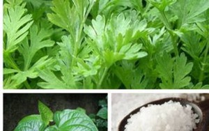 Liệu pháp hay chữa đau mỏi vai gáy