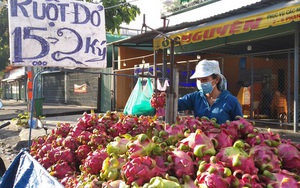 Còn 15.000 đồng/2kg, thanh long lại đổ đống, bán đầy đường TP HCM