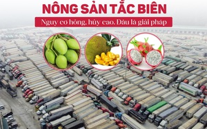 Giải "cứu" nông sản bằng công nghệ sấy lạnh từ Nhật Bản