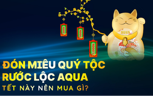 “Đón miêu quý tộc, rước lộc AQUA”: Tết này nên mua gì?