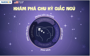 Chu kỳ giấc ngủ - cuộc hành trình tái tạo và hồi phục của cơ thể