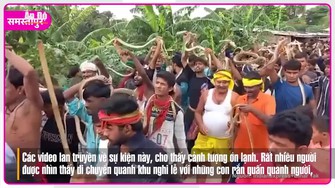 Ớn lạnh lễ hội tôn thờ thần rắn ở Ấn Độ
