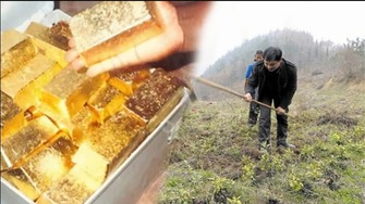 Đang nhổ cỏ, nông dân Trung Quốc phát hiện kho báu 75 tỷ đồng