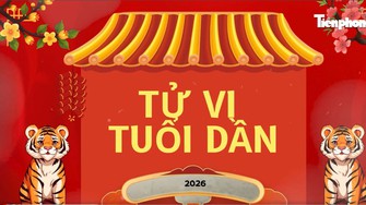 Tử vi tuổi Dần 2026: Vận đỏ như son, vạn sự cát lành
