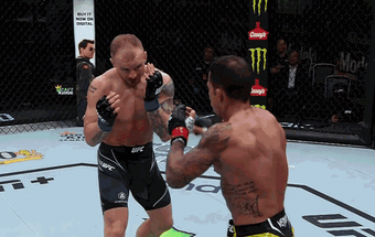 Đòn gối bay ‘tuyệt đỉnh’ khiến võ sĩ UFC ngã gục