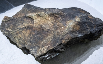 Cận cảnh phiến đá 3 tỉ năm, cổ nhất Việt Nam, được mang đi soi tuổi ở phòng thí nghiệm ở Nhật