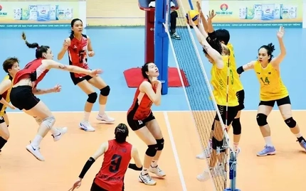 Liên đoàn bóng chuyền Việt Nam thực hiện xác minh giới tính vận động viên nữ ở giải quốc gia