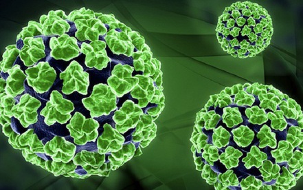 Tay chân miệng tăng nhanh, cảnh báo chủng EV71 độc lực cao