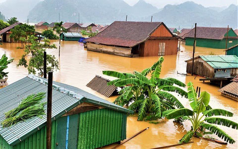 Những hình ảnh nhói lòng về mưa lũ kinh hoàng ở miền Trung  Binh Phuoc  Tin tuc Binh Phuoc Tin mới tỉnh Bình Phước
