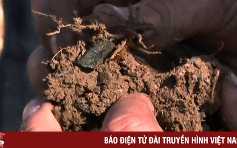 Than sinh học có thể giúp chống biến đổi khí hậu trong nhiều thế kỷ tới