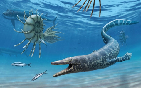 thương long : Bí mật loài rắn có chân: Hậu duệ chung tổ tiên với 'quái thú  bá chủ đại dương' Thương long?