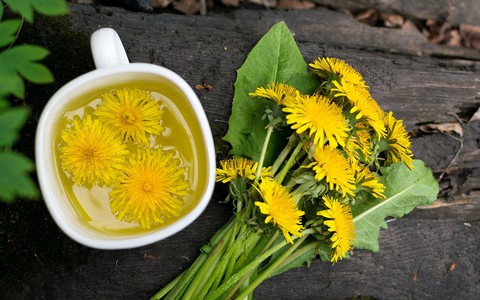 Loại cây mọc dại ven đường nhưng có tác dụng đào thải độc tố ở gan, thận: Thế giới dùng nhiều, Việt Nam cũng rất sẵn