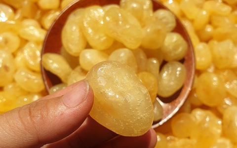Việt Nam có 1 loại quả chua chát giúp chống rụng tóc, kích thích mọc tóc con, dùng đúng cách còn trị được nhiều loại bệnh